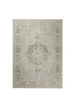 Amer Century CEN-21 Img1 Transitional Traditional Area Rugs